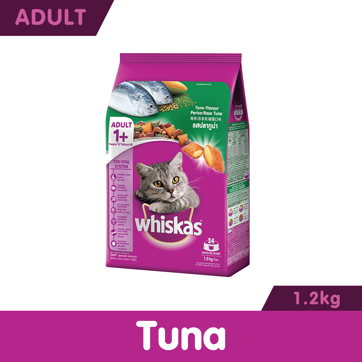 Whiskas dry shop cat food 2kg